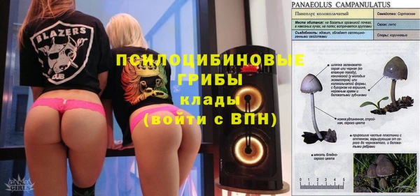 эйфоретик Бугульма
